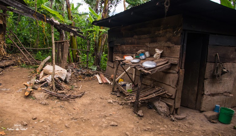 life at the foot of kilimanjaro 33