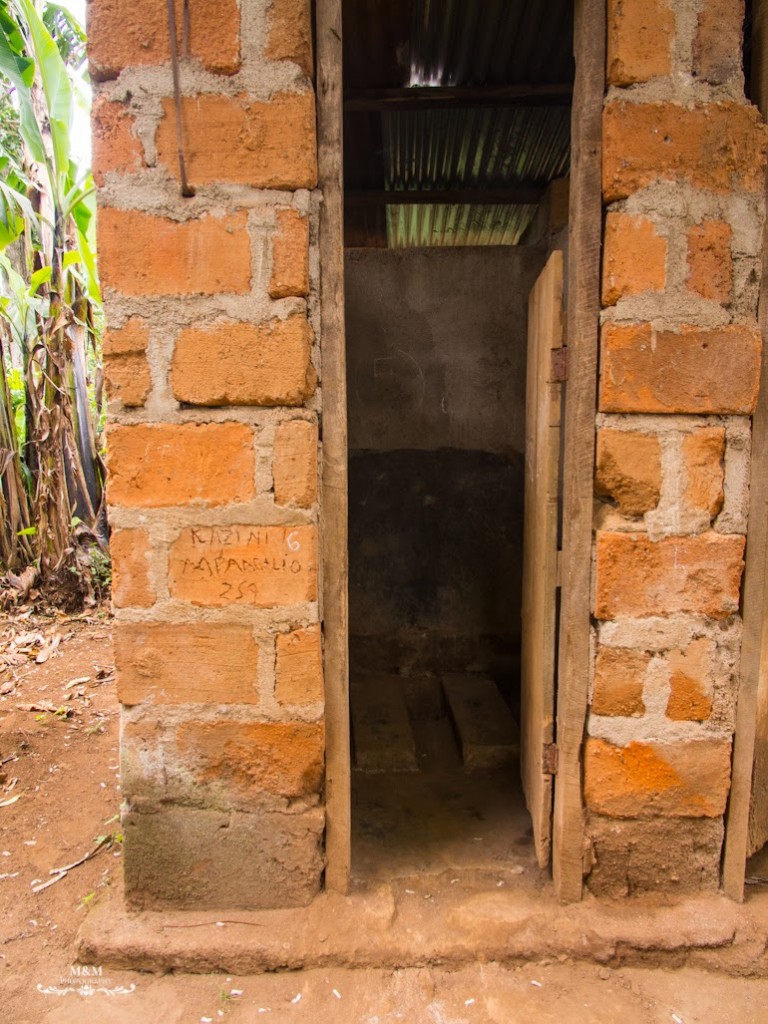 life at the foot of kilimanjaro 39