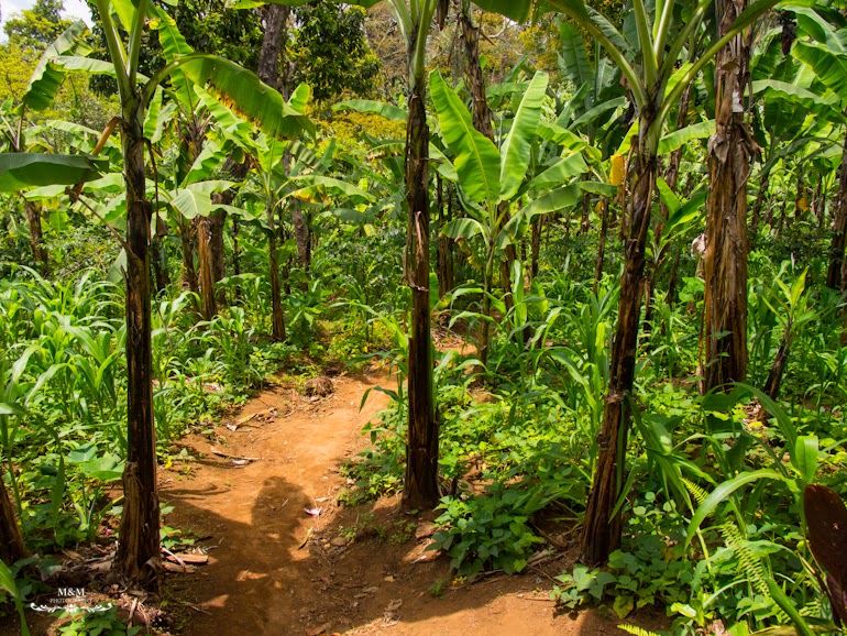 life at the foot of kilimanjaro 46