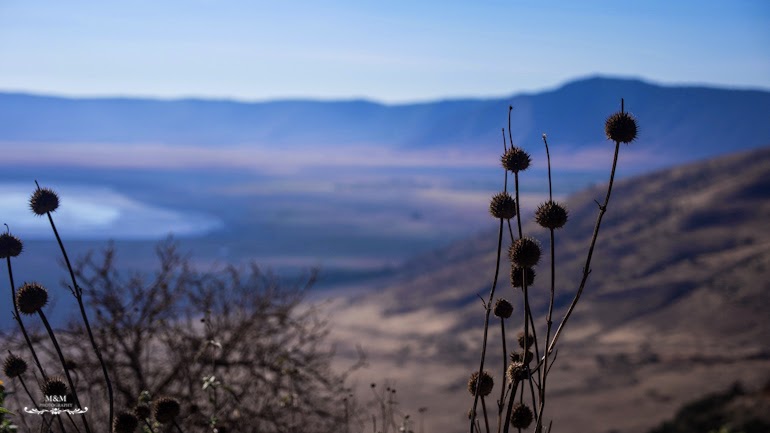 ngorongoro krater safari tanzania 03