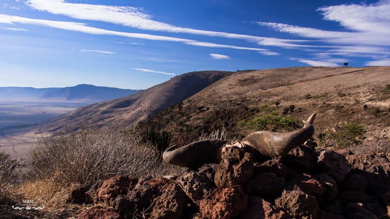 ngorongoro krater safari tanzania 04