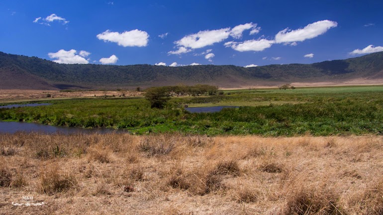 ngorongoro krater safari tanzania 12