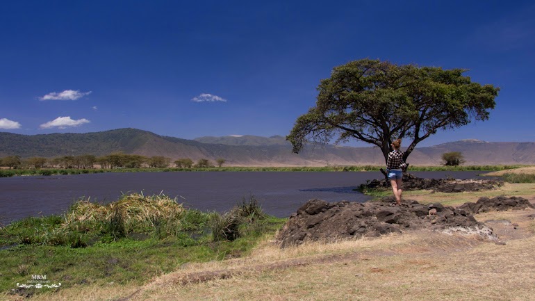 ngorongoro krater safari tanzania 20