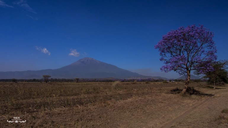 ngorongoro krater safari tanzania 23