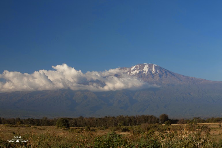 ngorongoro krater safari tanzania 25