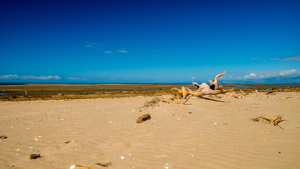 nowa-zelandia-abel-tasman-park-18