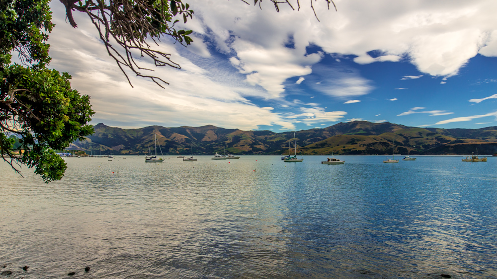 Nowa Zelandia Akaroa-10