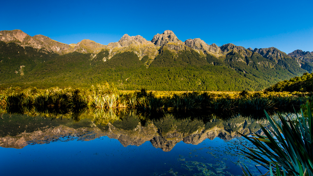 Nowa Zelandia informacje praktyczne-18