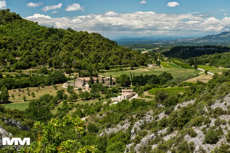 orange abbaye senanque gordes 10