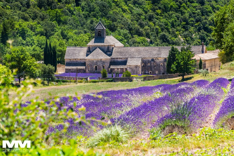 orange abbaye senanque gordes 11