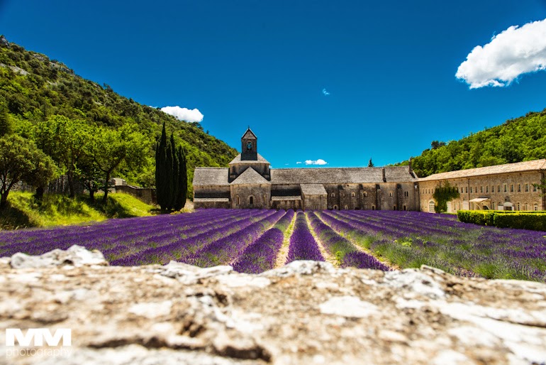 orange abbaye senanque gordes 13