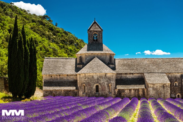orange abbaye senanque gordes 14
