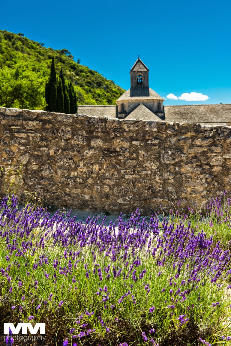 orange abbaye senanque gordes 15