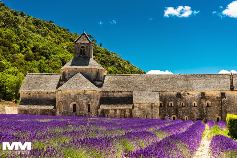 orange abbaye senanque gordes 17
