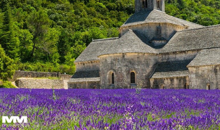 orange abbaye senanque gordes 18