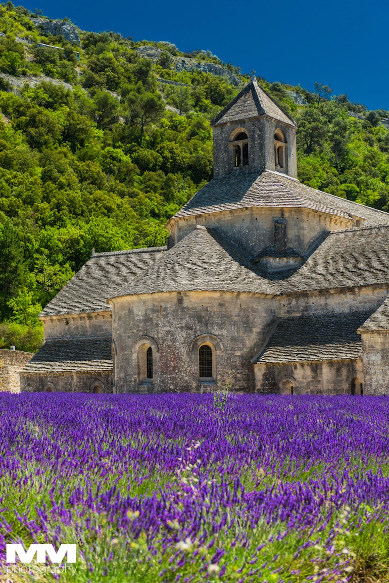 orange abbaye senanque gordes 19