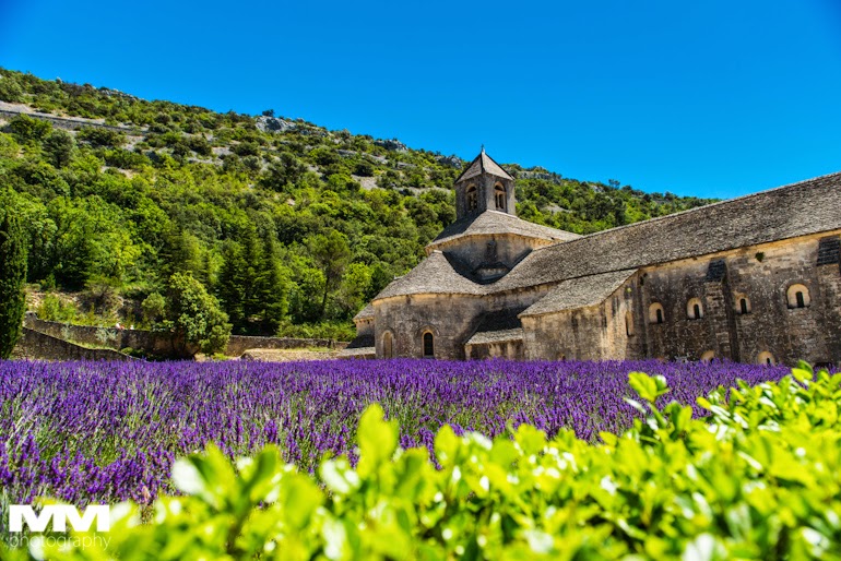 orange abbaye senanque gordes 20