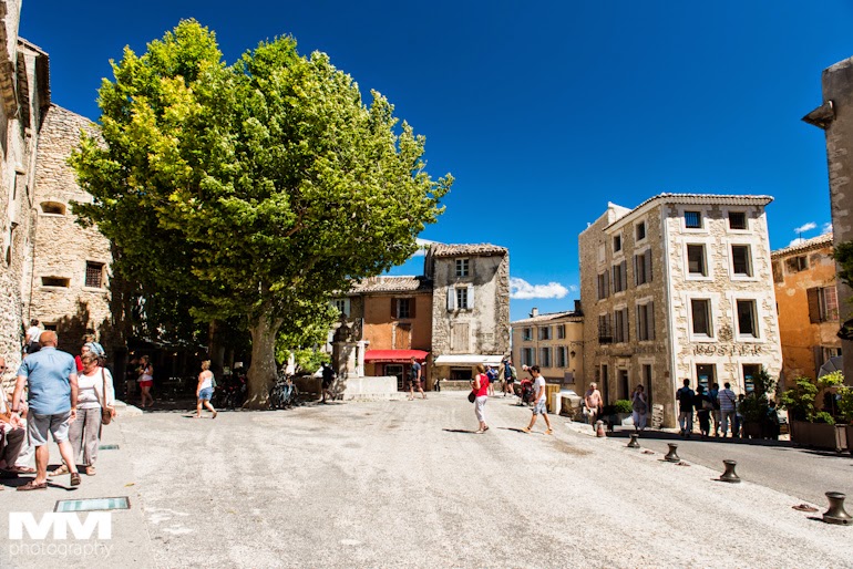 orange abbaye senanque gordes 25