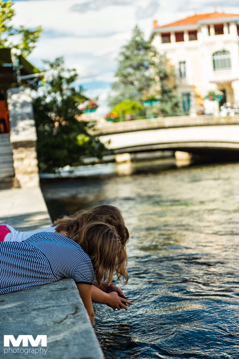 orange abbaye senanque gordes 39