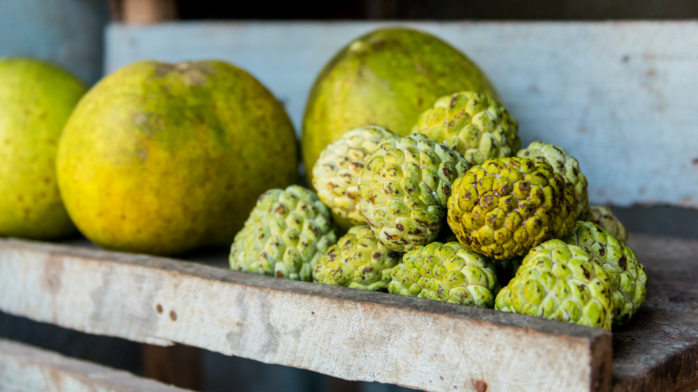 Co robic na Sri Lance-14-2