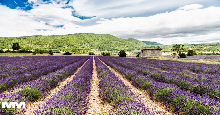 roussillon sault simiane la rotonde 24