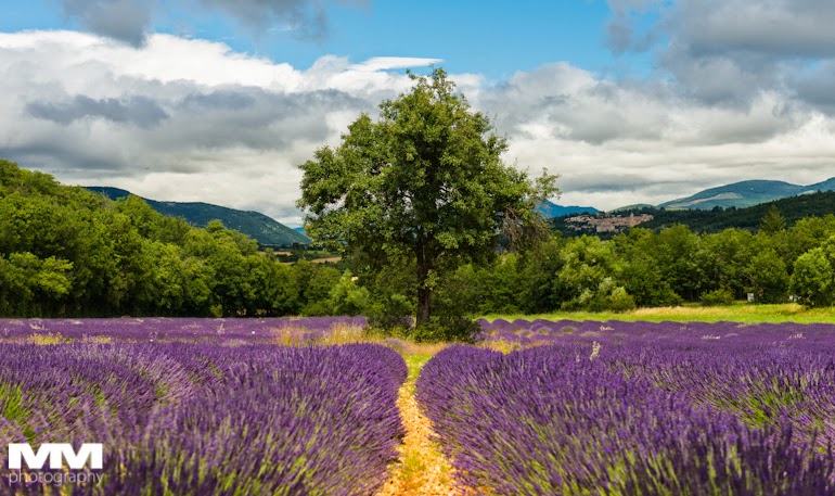 roussillon sault simiane la rotonde 25