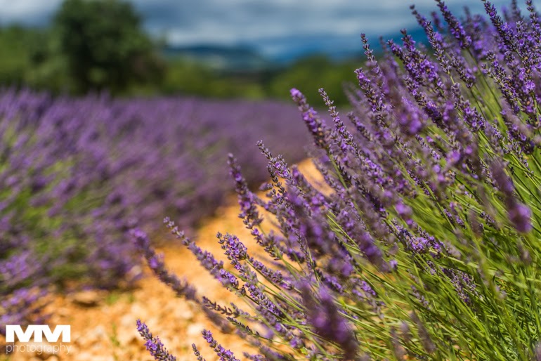 roussillon sault simiane la rotonde 26