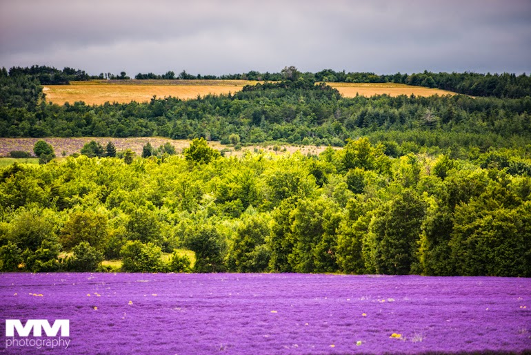 roussillon sault simiane la rotonde 28