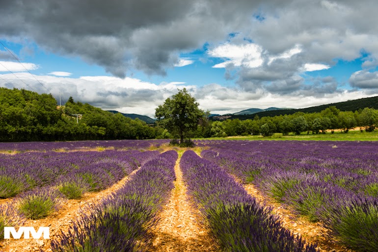 roussillon sault simiane la rotonde 29