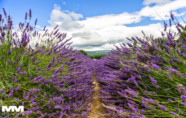roussillon sault simiane la rotonde 30
