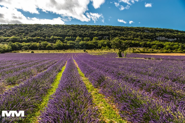 roussillon sault simiane la rotonde 32