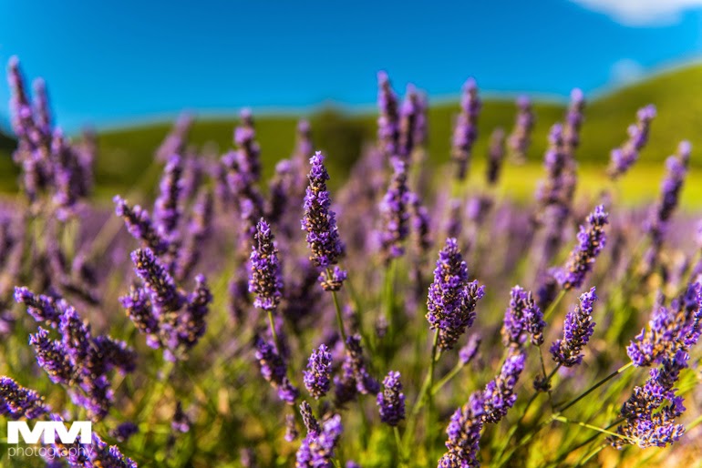 roussillon sault simiane la rotonde 35