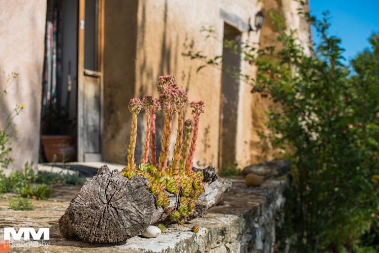 roussillon sault simiane la rotonde 41