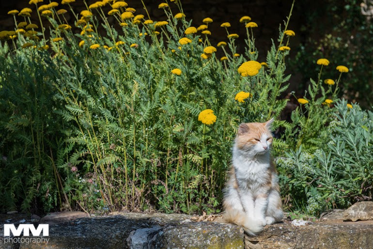 roussillon sault simiane la rotonde 46