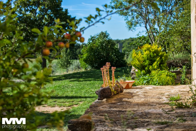 roussillon sault simiane la rotonde 47