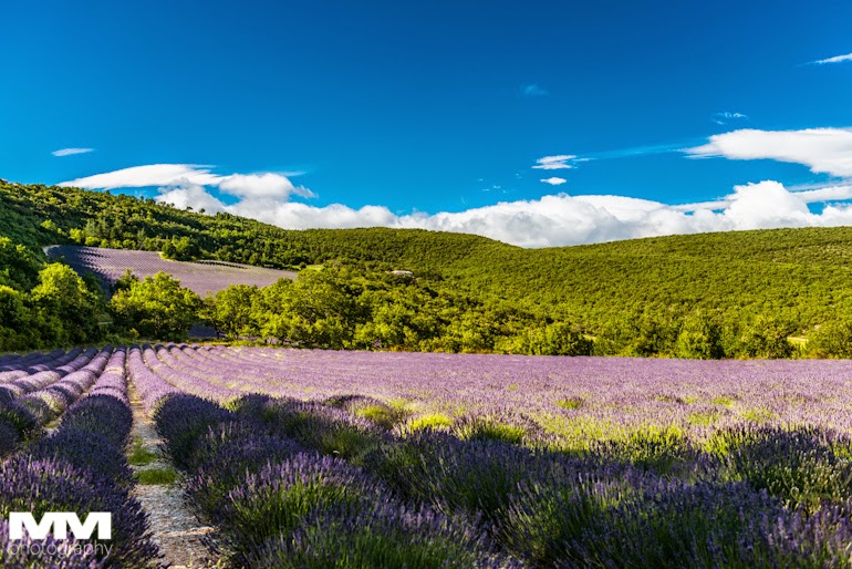 roussillon sault simiane la rotonde 52