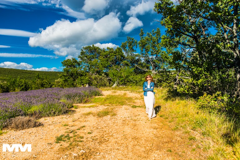 roussillon sault simiane la rotonde 53