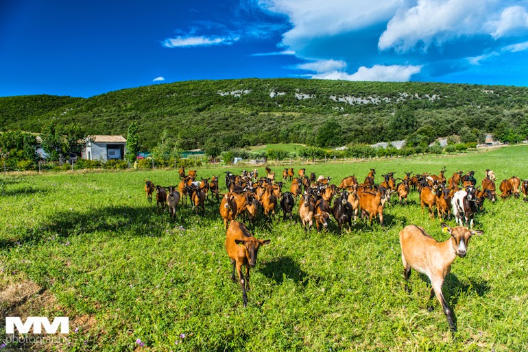 roussillon sault simiane la rotonde 56