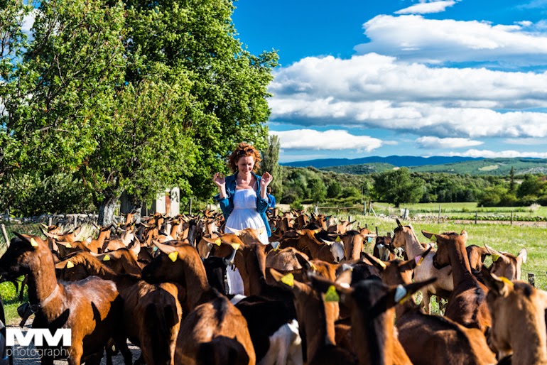 roussillon sault simiane la rotonde 57