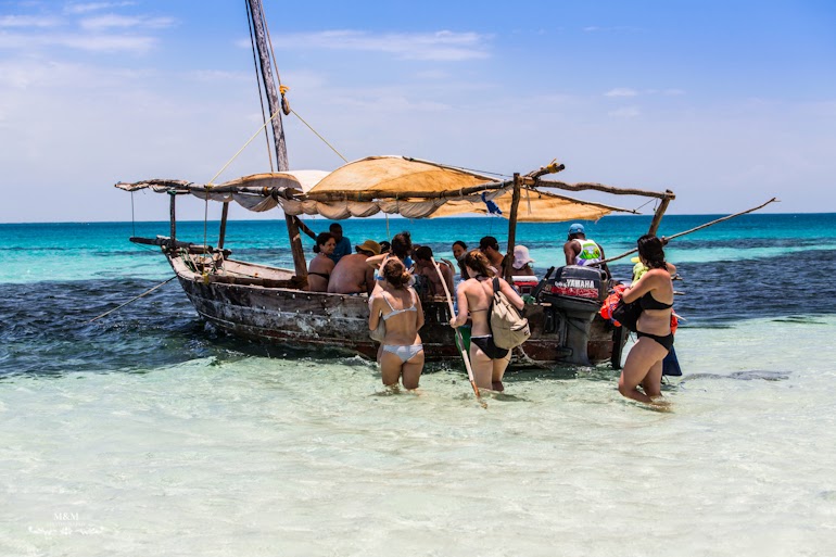 safari blue zanzibar 01