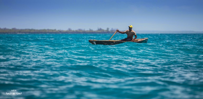 safari blue zanzibar 04