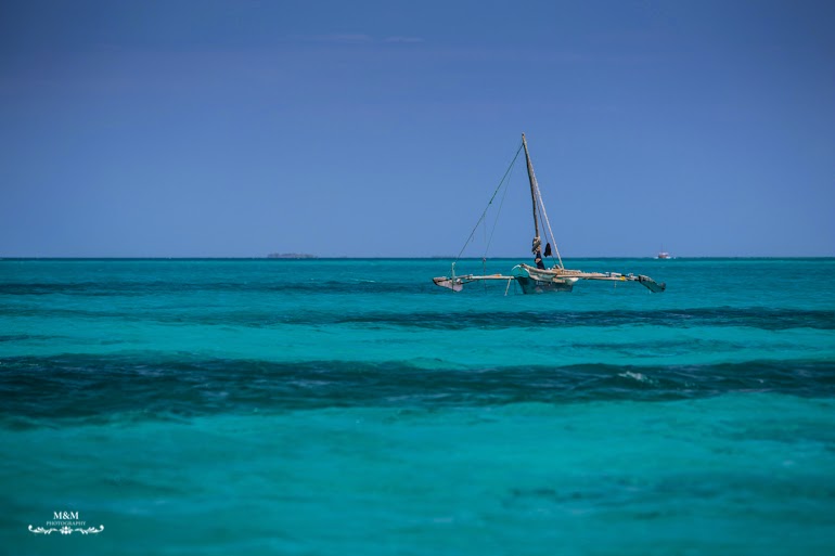 safari blue zanzibar 08