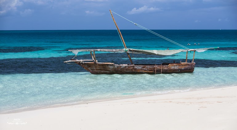safari blue zanzibar 09