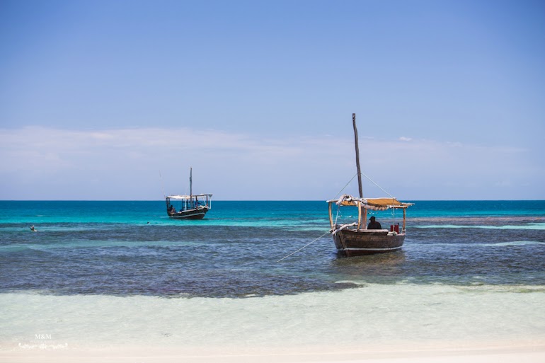 safari blue zanzibar 16