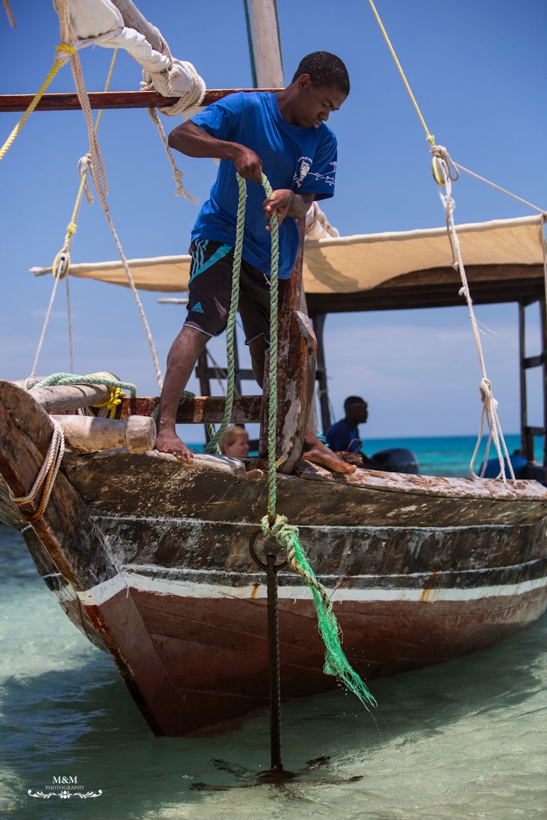 safari blue zanzibar 17