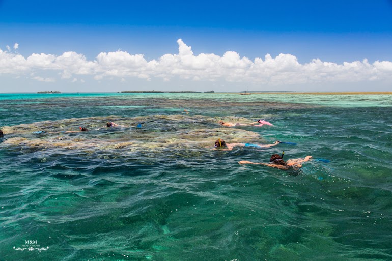 safari blue zanzibar 25