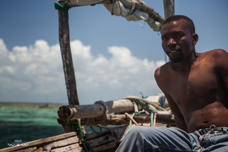 safari blue zanzibar 27