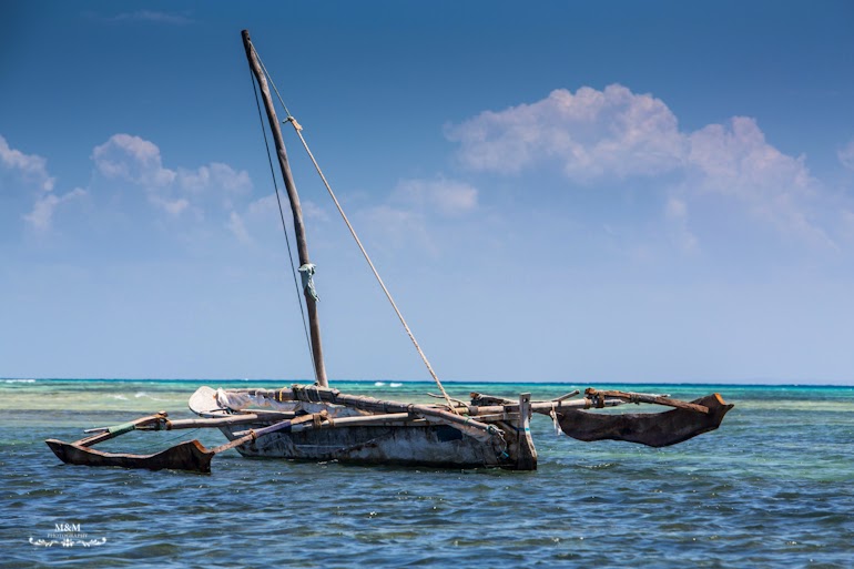 safari blue zanzibar 30