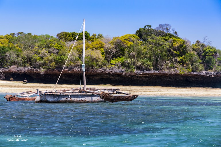 safari blue zanzibar 31