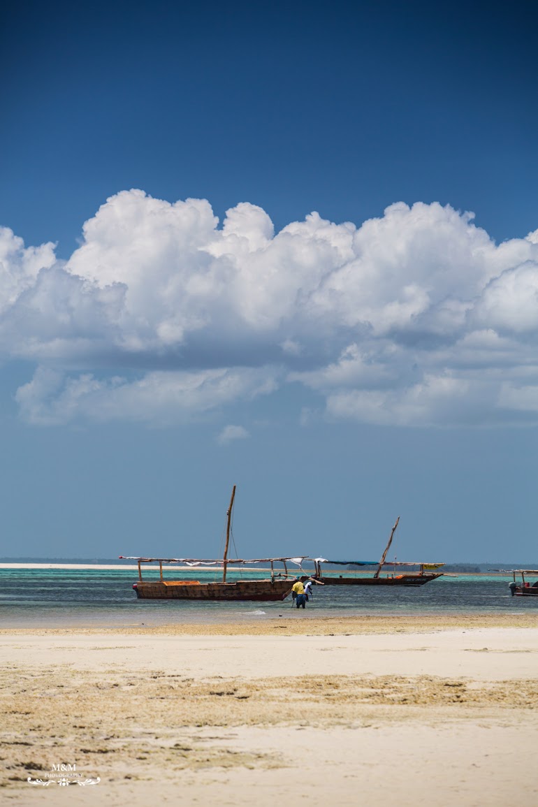 safari blue zanzibar 32